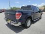 2014 Ford F-150 Platinum SuperCrew 6.5-ft. Bed 2WD (1FTFW1CT1EK) with an 3.5L V6 TURBO engine, 6-Speed Automatic transmission, located at 419 N 18th St., Monroe, LA, 71201, (318) 410-9250, 32.514370, -92.105133 - Photo#1